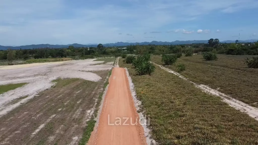 Land For Sale : 4-0-18 Rai With Scenic Mountain View in Thap Tai