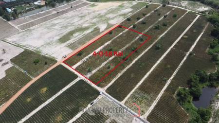 Land For Sale : 4-0-18 Rai With Scenic Mountain View in Thap Tai