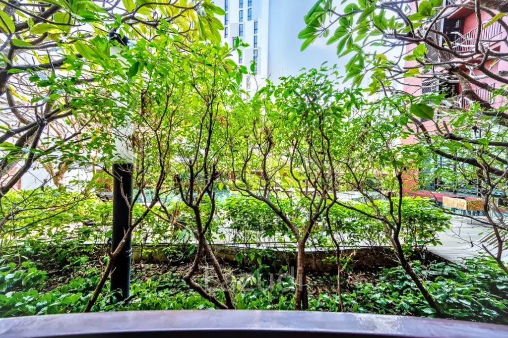 1 Bedroom 1 Bathroom 35 Sq.m Wyne By Sansiri