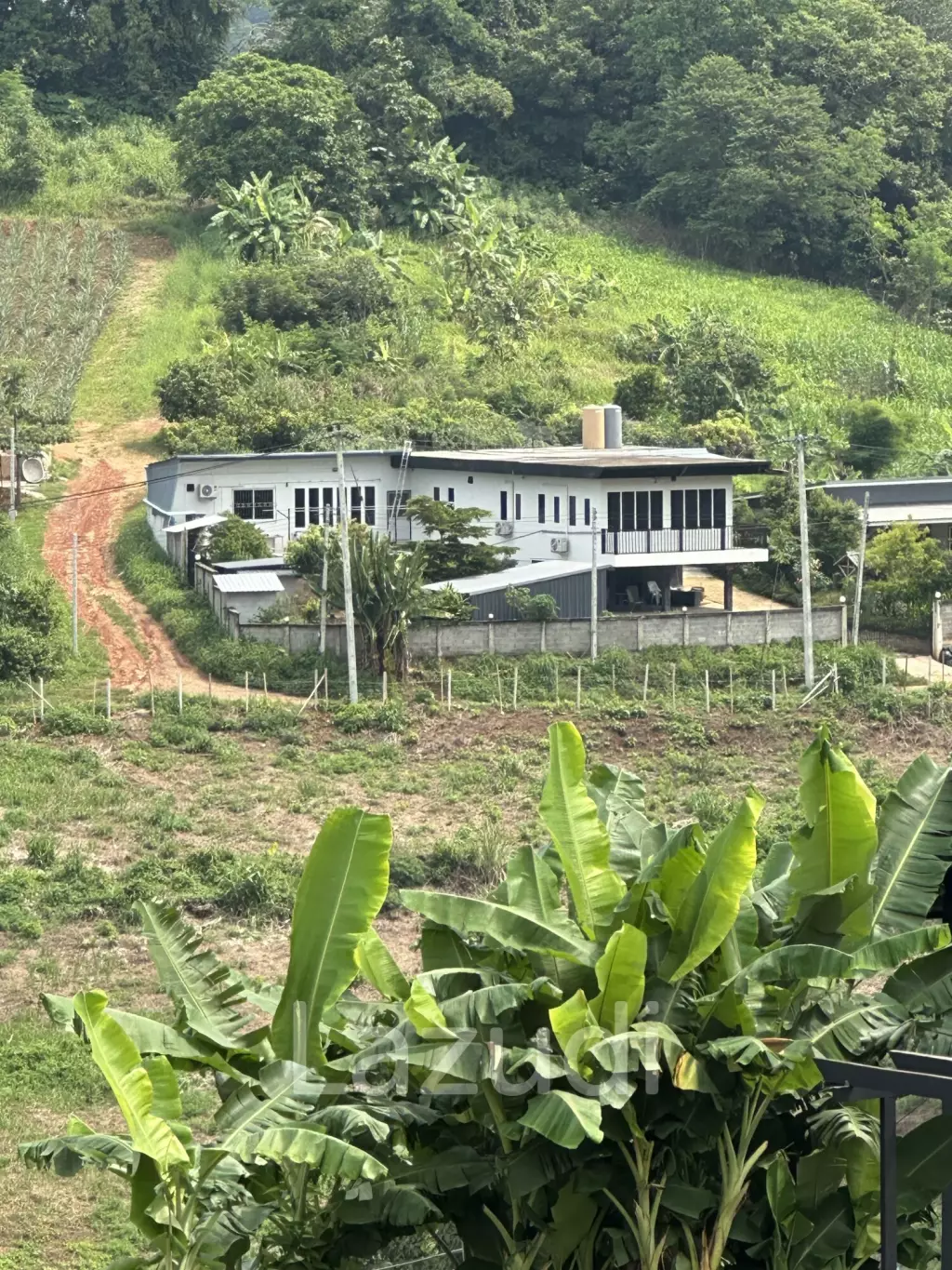 4 Beds Modern House with Private Pool in Rural Chiang Rai