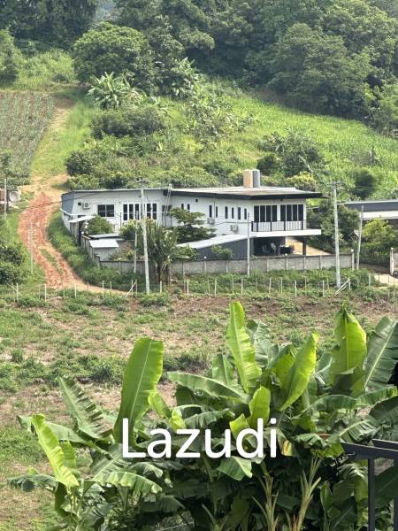 4 Beds Modern House with Private Pool in Rural Chiang Rai