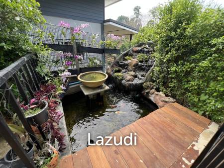 4 Beds Modern House with Private Pool in Rural Chiang Rai