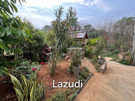 4 Beds Modern House with Private Pool in Rural Chiang Rai