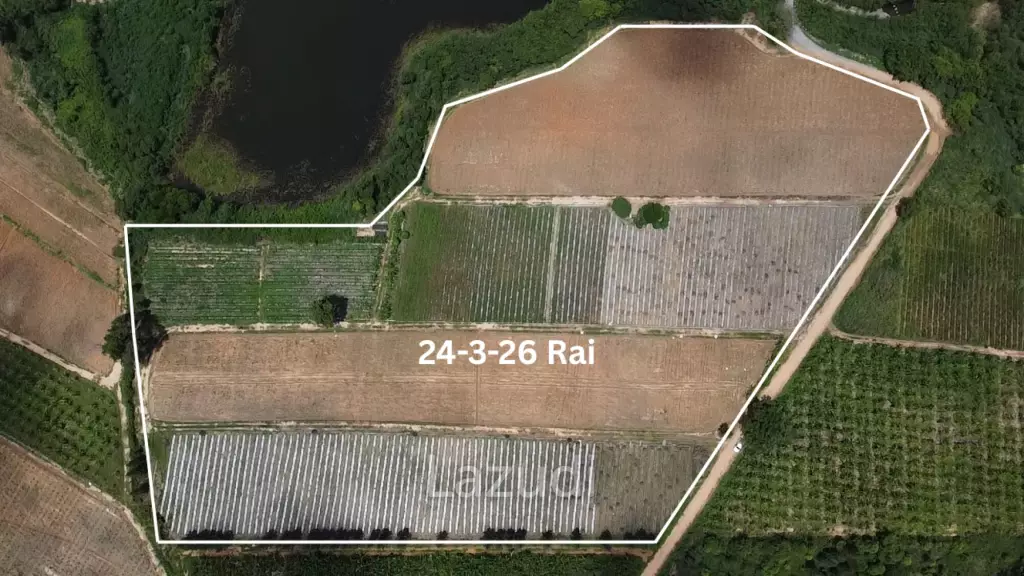 Expansive Freehold Land 24-3-26 Rai in Nong Phlap Hua Hin
