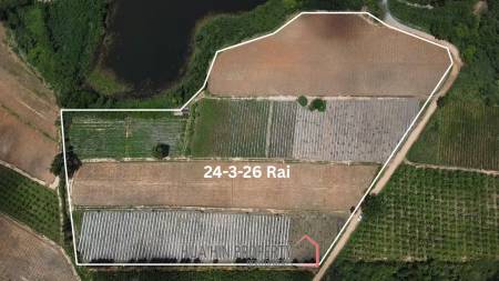 Expansive Freehold Land 24-3-26 Rai in Nong Phlap Hua Hin