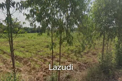 35 -1- 44 Rai Lan For Sale In Huay Yai