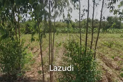 35 -1- 44 Rai Lan For Sale In Huay Yai