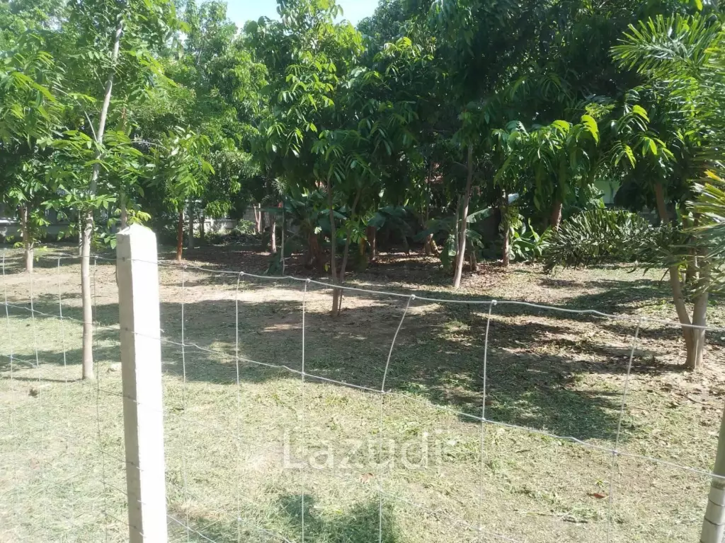 Prime Land For Sale 0-2-49 Rai in Soi Hua Hin 24