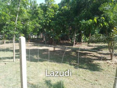 Prime Land For Sale 0-2-49 Rai in Soi Hua Hin 24