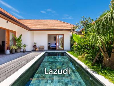 Stunning 3 bedroom walking distance to Sanur Beach