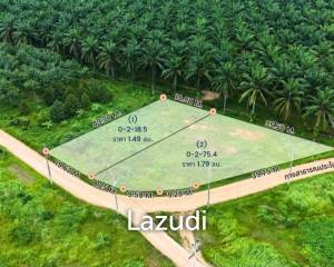 874 sqm Freehold Land in Scenic Nong Thale Krabi