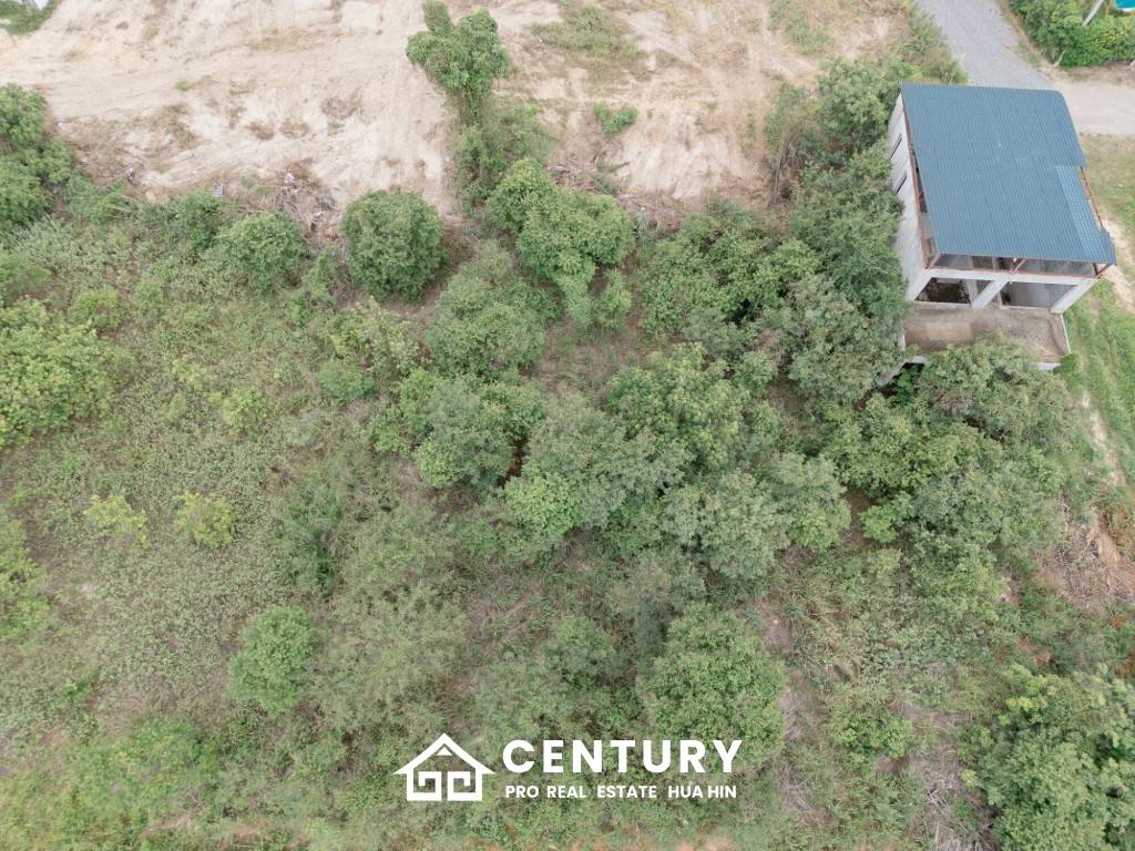 7000 sqm divided in 24 plots close to Pineapple Valley Golf