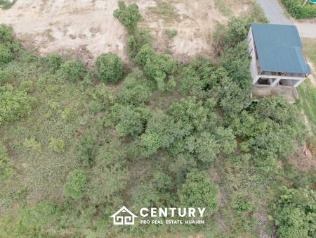 7000 sqm divided in 24 plots close to Pineapple Valley Golf