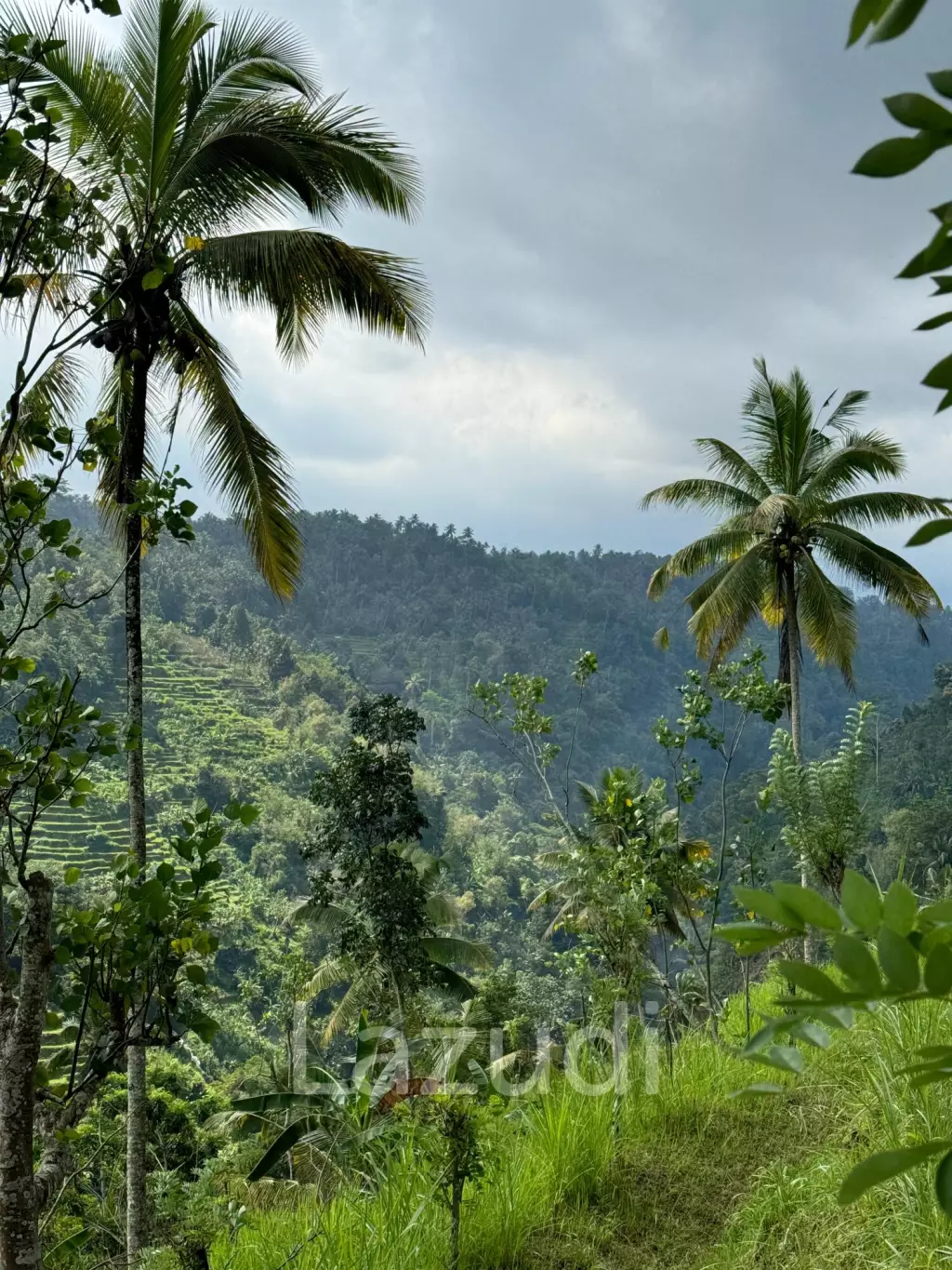 Unique Land Plot in Sidemen, Bali