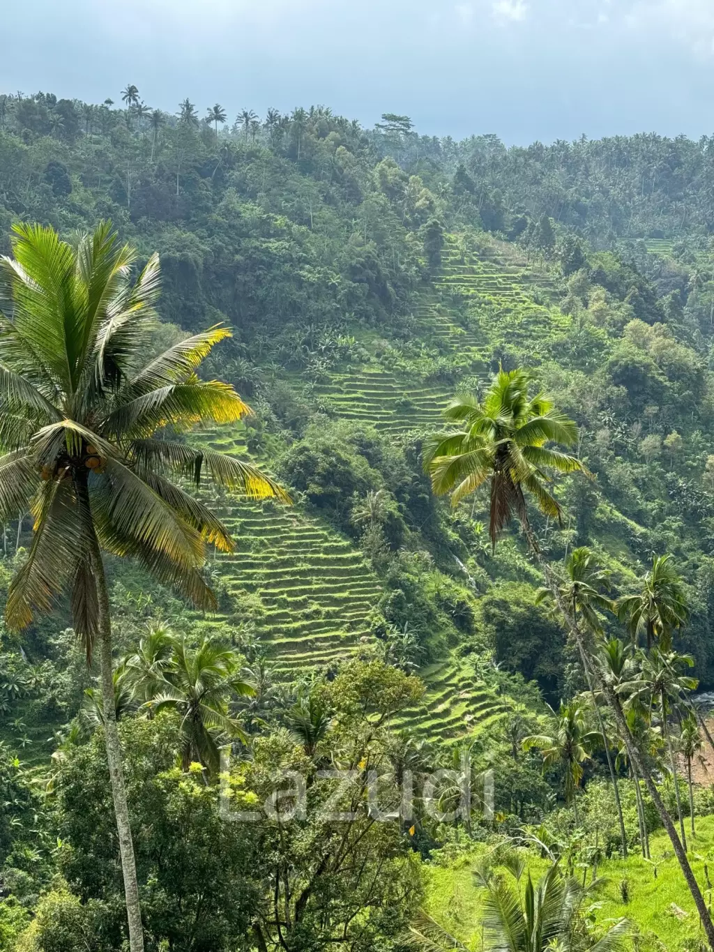 Unique Land Plot in Sidemen, Bali
