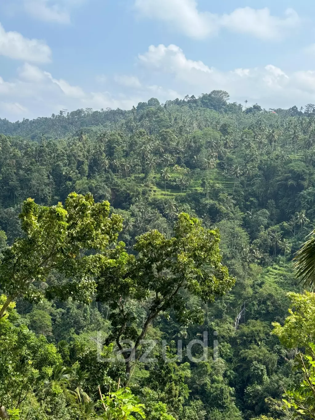 Unique Land Plot in Sidemen, Bali