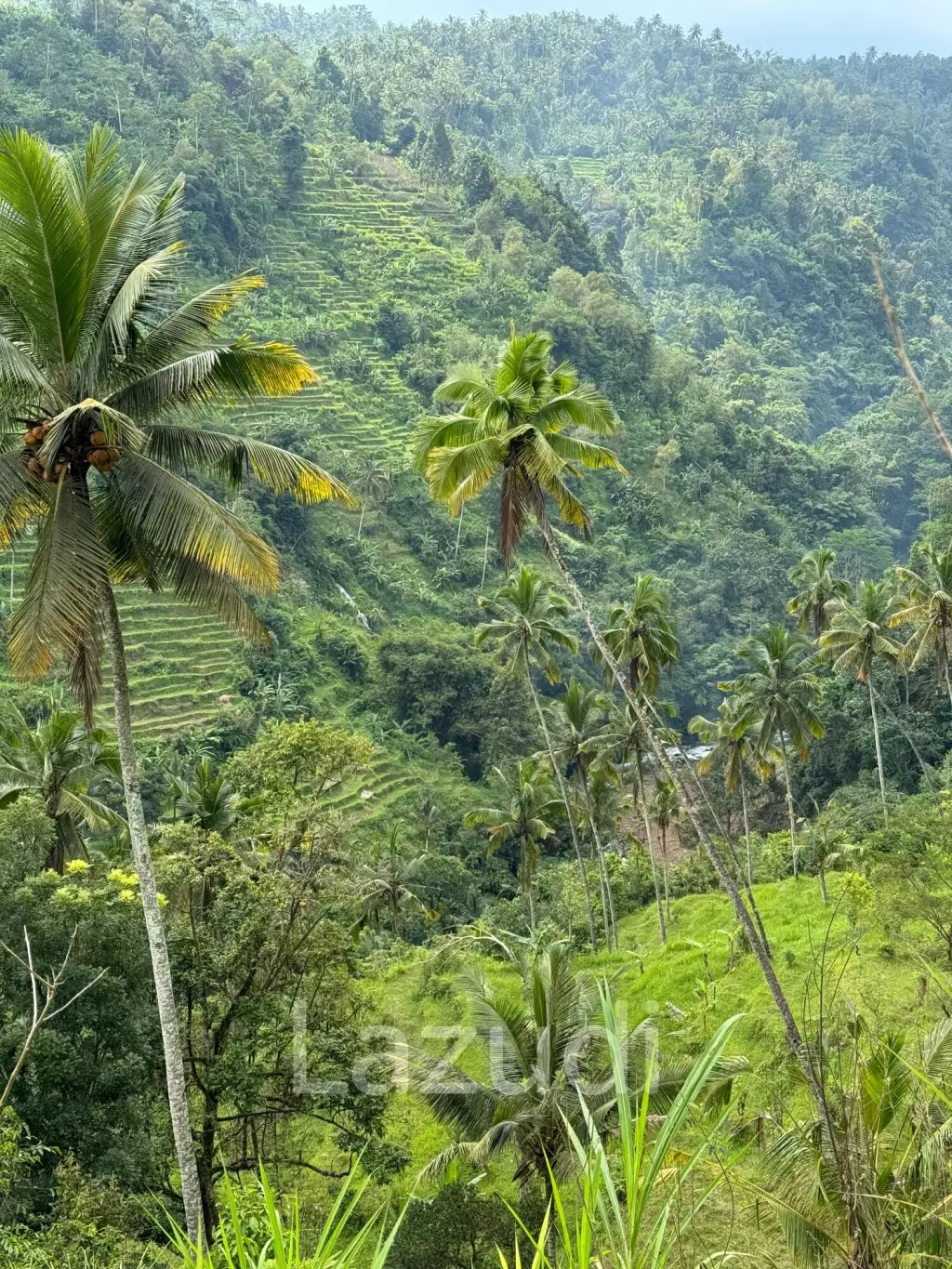 Unique Land Plot in Sidemen, Bali