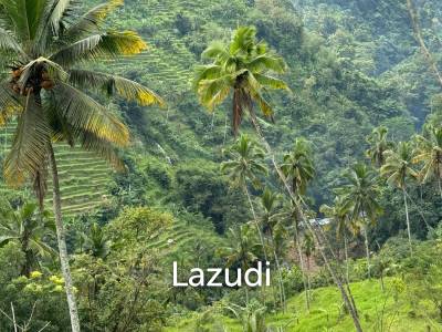 Unique Land Plot in Sidemen, Bali