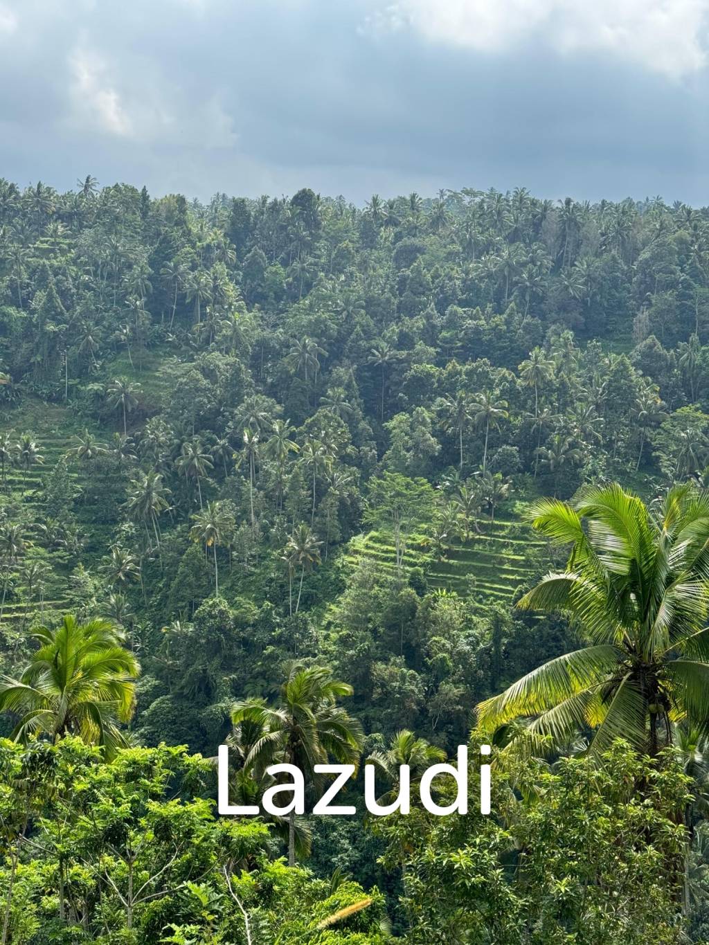 Unique Land Plot in Sidemen, Bali