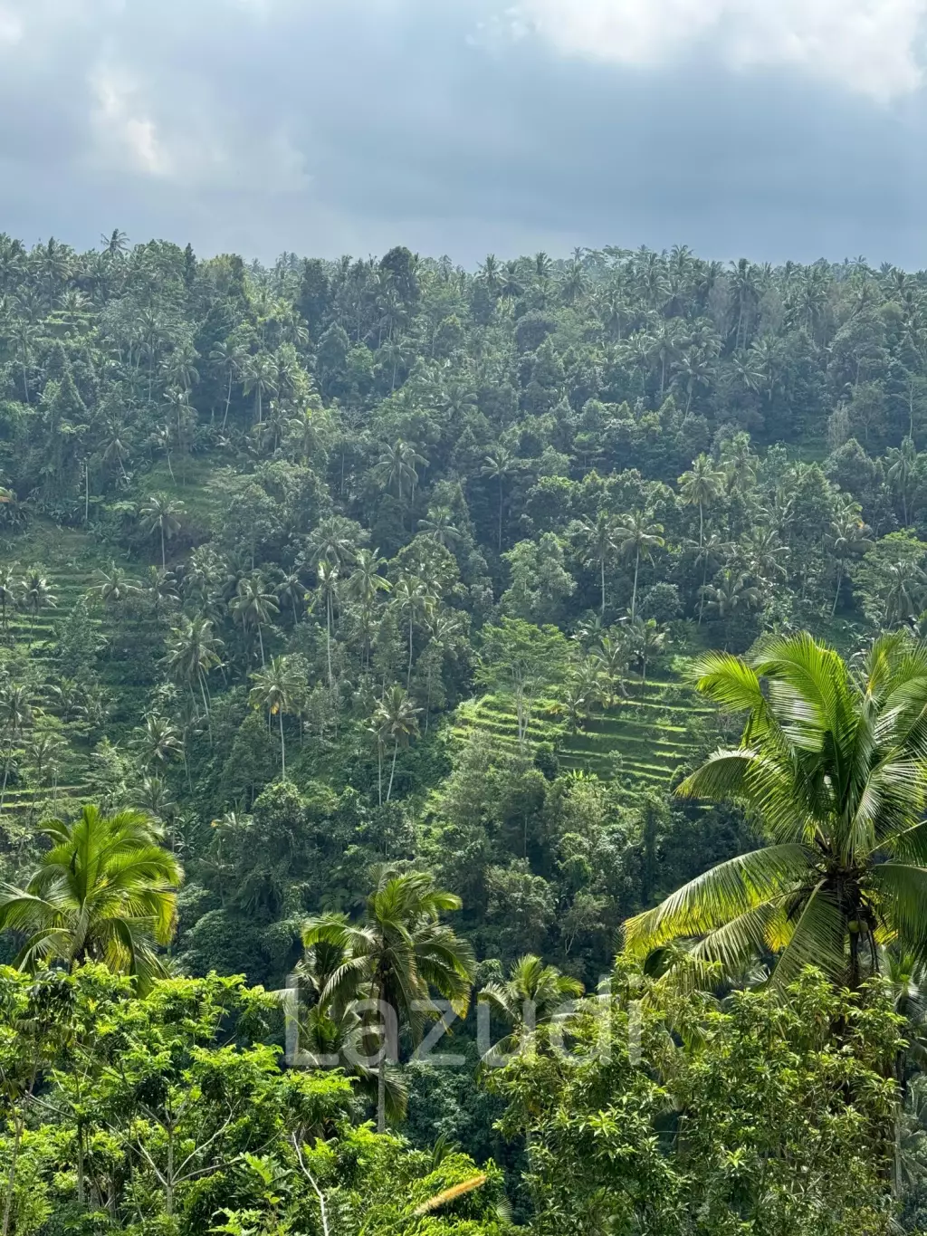 Unique Land Plot in Sidemen, Bali