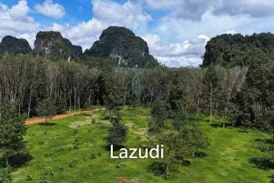 Unbeatable Value! One Rai Plots, Stunning Mountain Views.