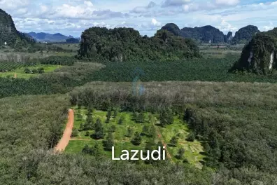 Unbeatable Value! One Rai Plots, Stunning Mountain Views.