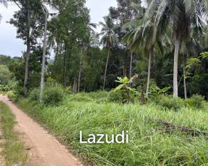 Land for Sale – Central Koh Phangan (Maduwan / Ban Nai Suan)