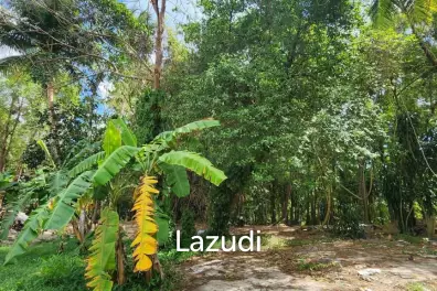 Land for Sale – Central Koh Phangan (Maduwan / Ban Nai Suan)