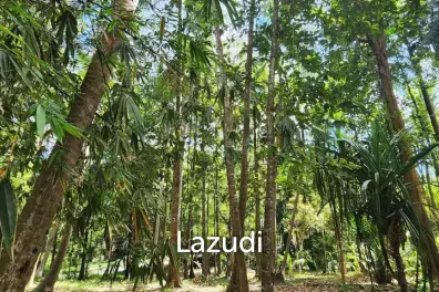 Land for Sale – Central Koh Phangan (Maduwan / Ban Nai Suan)