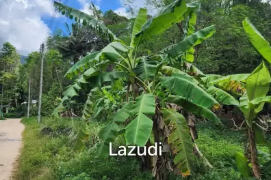 Land for Sale – Central Koh Phangan (Maduwan / Ban Nai Suan)