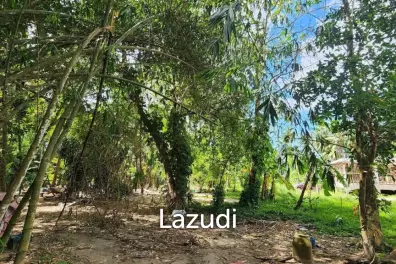 Land for Sale – Central Koh Phangan (Maduwan / Ban Nai Suan)