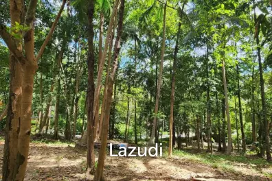 Land for Sale – Central Koh Phangan (Maduwan / Ban Nai Suan)