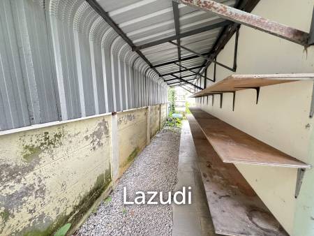3 Bedrooms  Single-Storey House Near To The City
