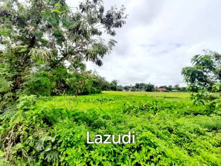 1 Rai 2 Ngan Land for Sale in Residential Area, Huai Sak