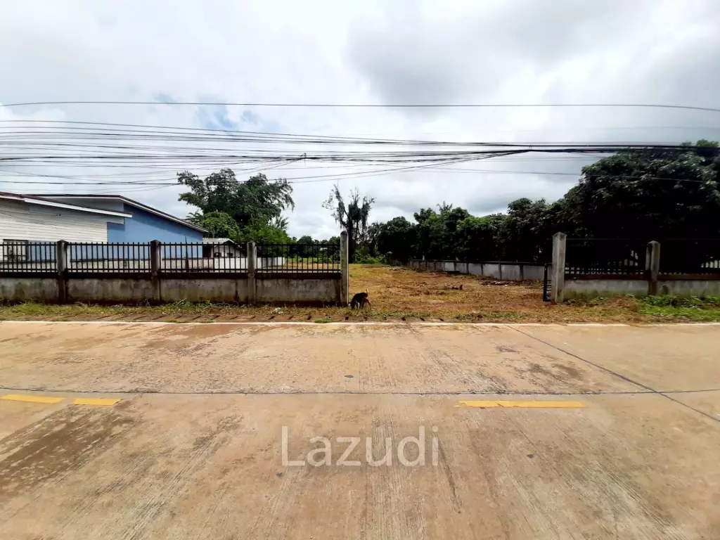 ขายที่ดิน 1 ไร่ 2 งานในแหล่งชุมชนที่ ต.ห้วยสัก