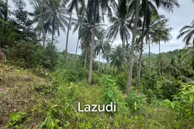 Land for Sale 11 Rai