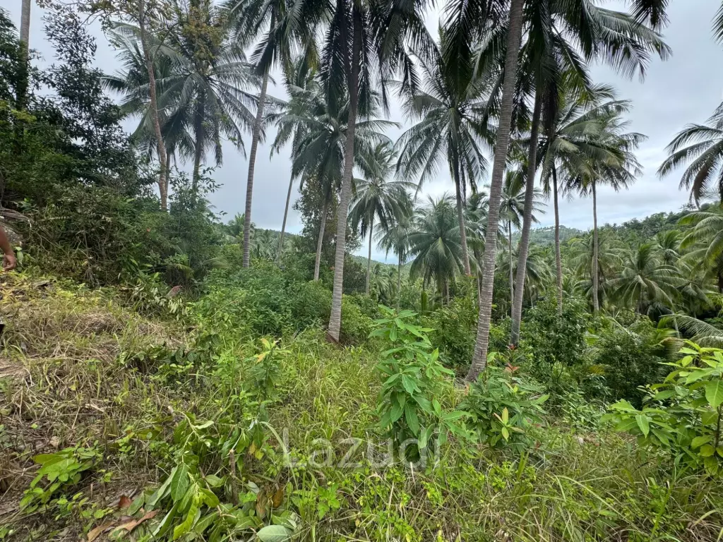 Land for Sale 11 Rai