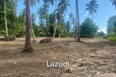 Land for Sale 11 Rai