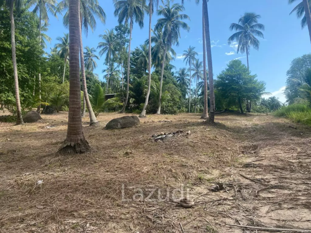 Land for Sale 11 Rai
