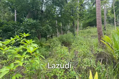 Land for Sale 11 Rai