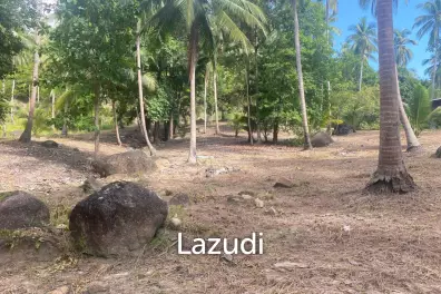 Land for Sale 11 Rai