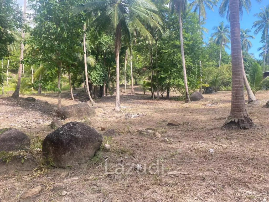 Land for Sale 11 Rai