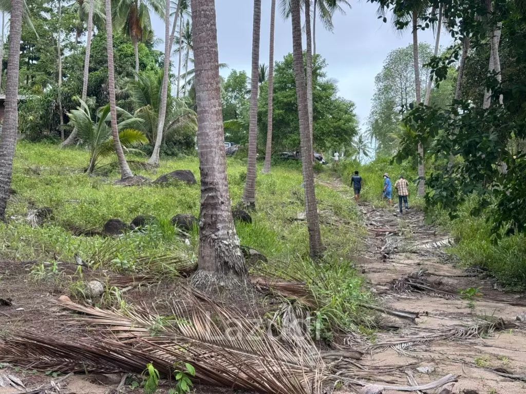 Land for Sale 11 Rai