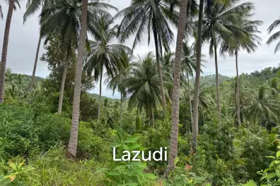 Land for Sale 11 Rai