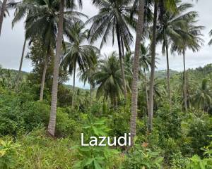 Land for Sale 11 Rai