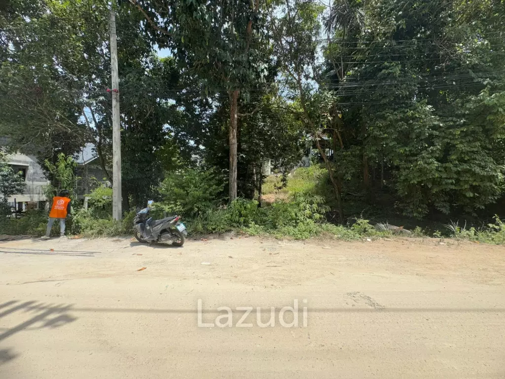 Land for Sale 320 Sqm in Ko Phangan