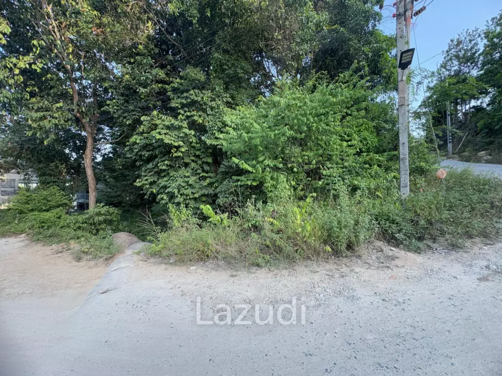 Land for Sale 320 Sqm in Ko Phangan
