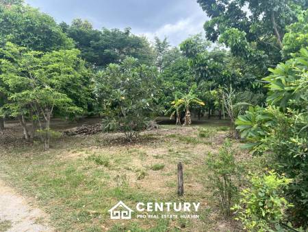 LAND FOR SALE 4 RAI IN HIN LEK FAI WITH SINGLE HOUSE