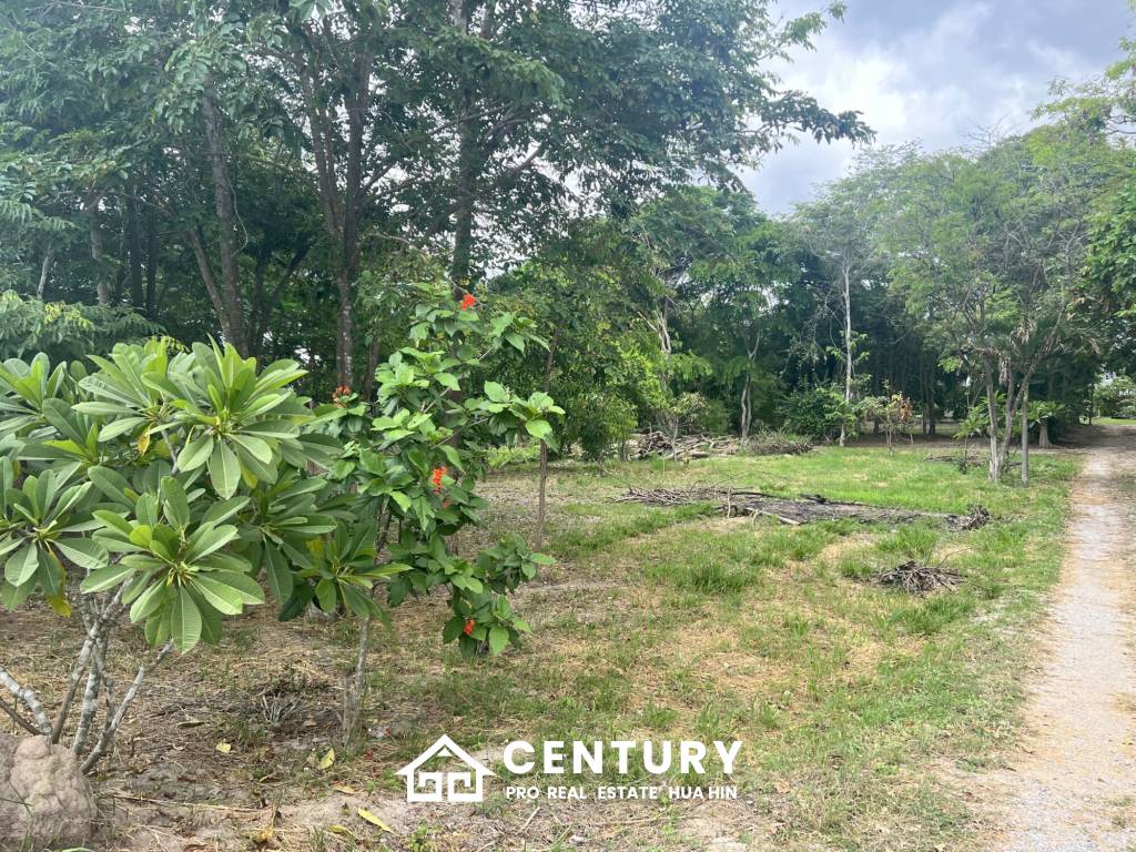 LAND FOR SALE 4 RAI IN HIN LEK FAI WITH SINGLE HOUSE