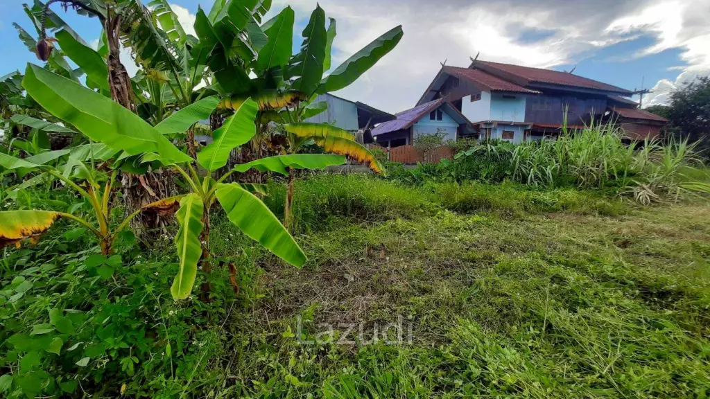 Land for sale 800 SQ.M. on the Main Road To Thoeng